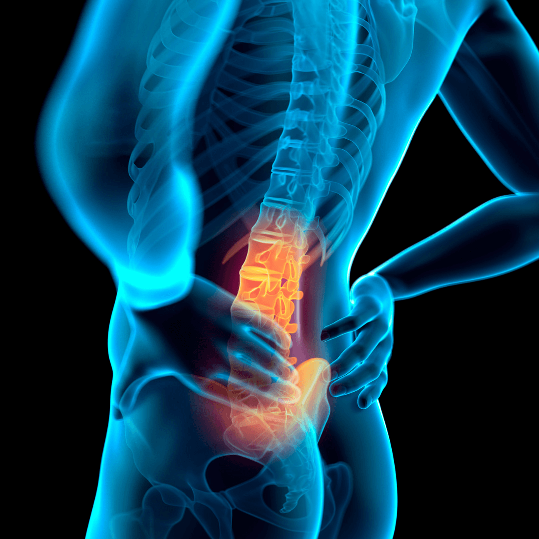 em keramik halsband hund Katzen-Halsband Lupa – Fischer's EM-Chiemgau Online-Shop